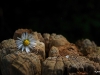 20100714_66